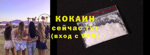 индика Арсеньев