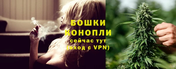 spice Аркадак