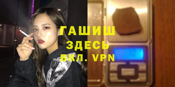 индика Арсеньев
