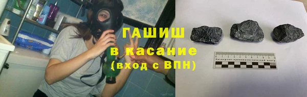 индика Арсеньев