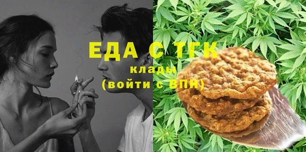 индика Арсеньев