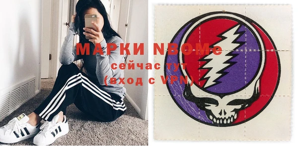 индика Арсеньев