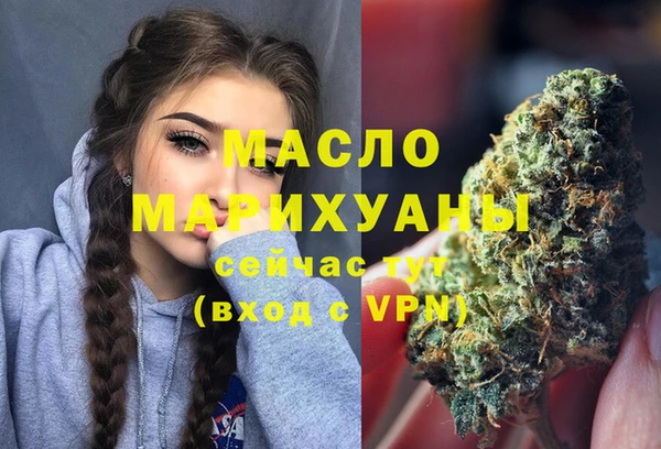 индика Арсеньев