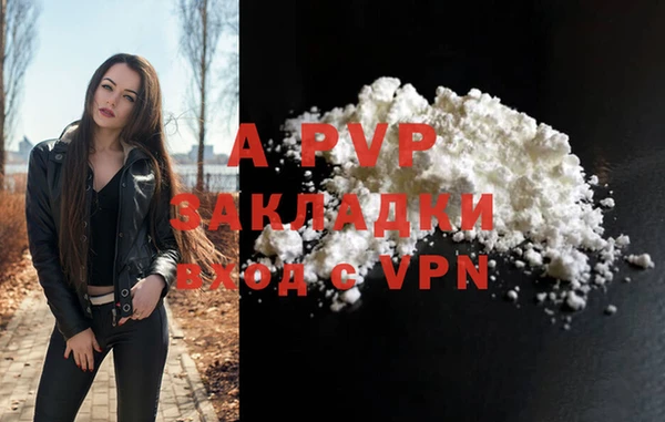 spice Аркадак