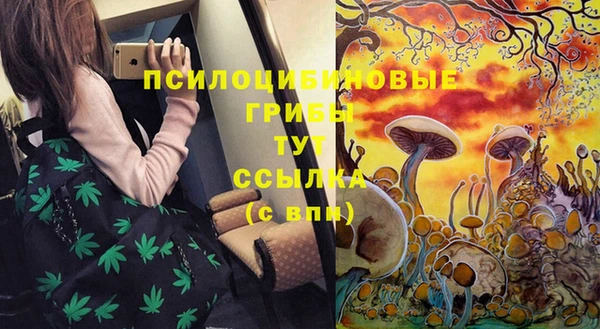 spice Аркадак