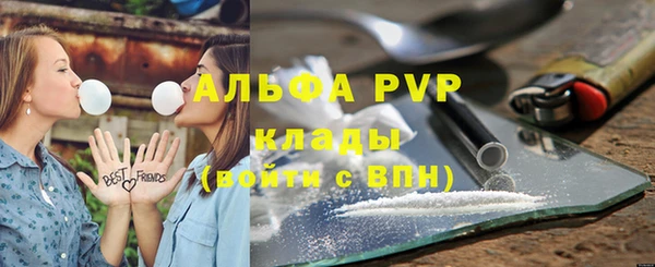spice Аркадак